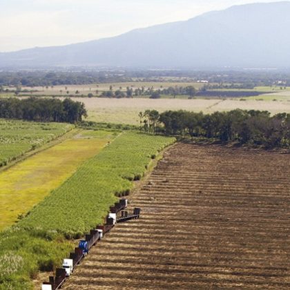 Estudio Impacto de la Agroindustria Azucarera en El Salvador